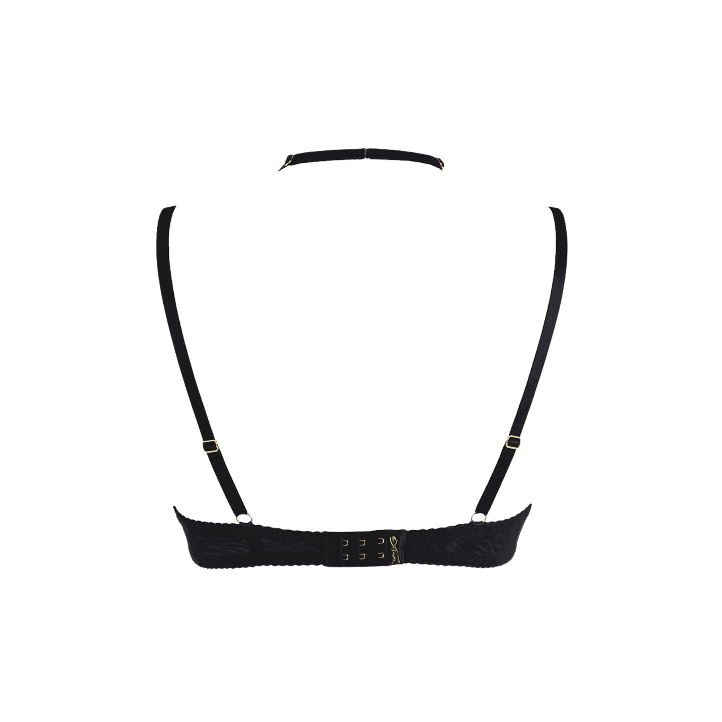 Vue arrière du soutien-gorge en dentelle noire V-10361 de Axami, exclusivité Oh My God'Z, mettant en valeur un design raffiné pour une séduction discrète