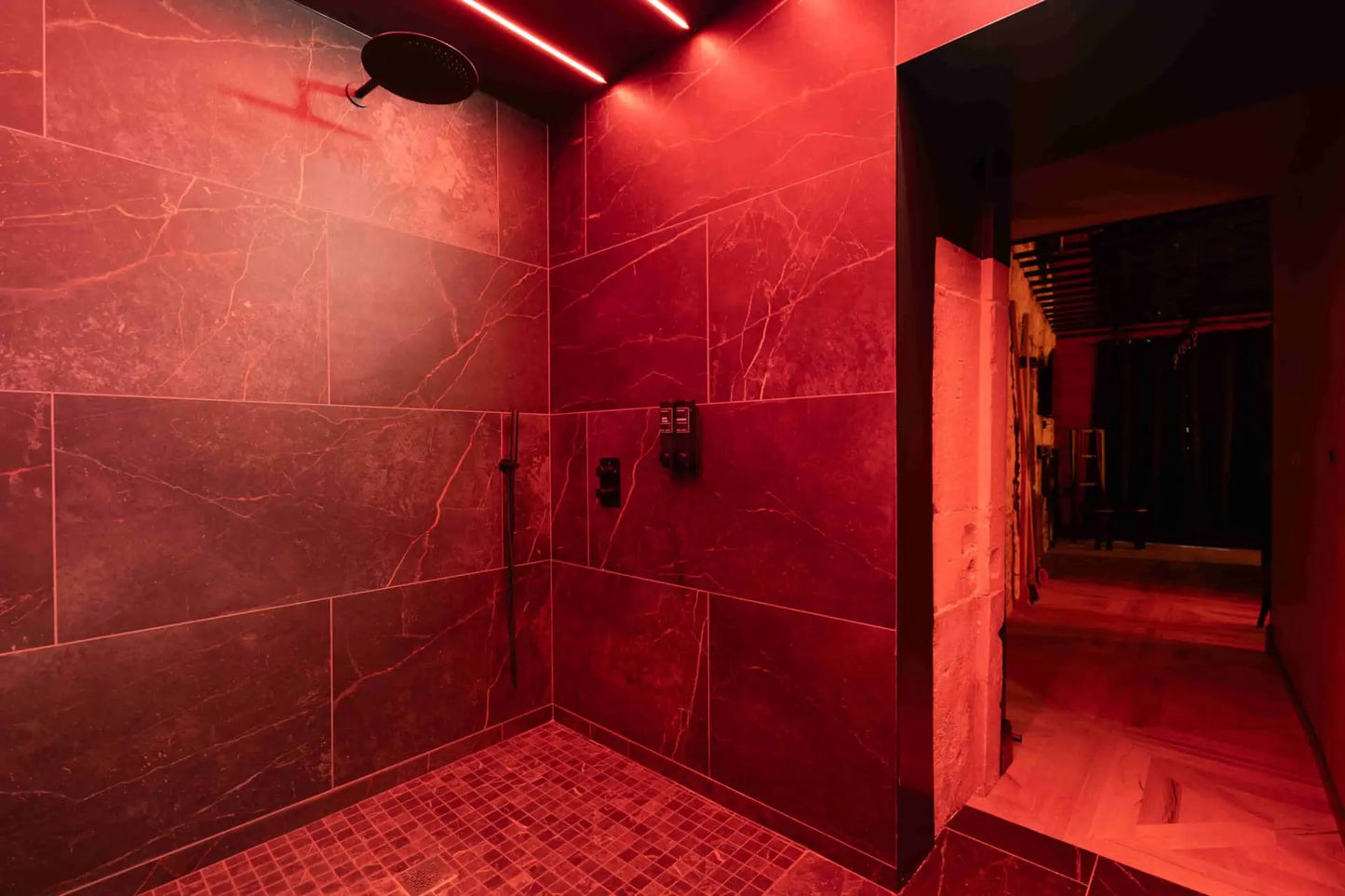 Love Room - The Dungeon - Anse (69480)