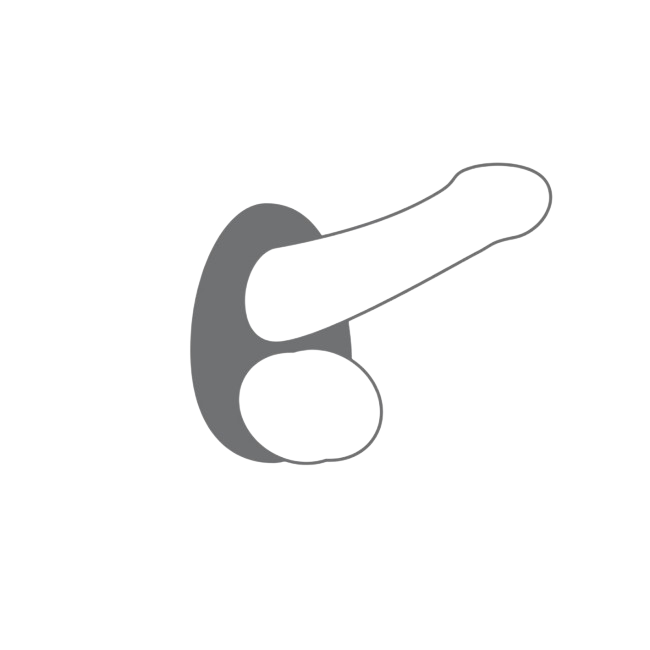 Schema d'utilisation du cockring Dorcel gris en silicone, placement autour du penis et des testicules - Oh My God'Z