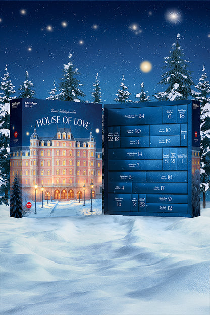 Calendrier de l'Avent érotique Satisfyer Deluxe édition luxe Oh My God'Z